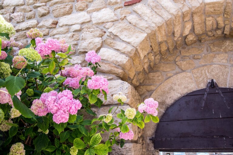 San Marino - flowers in castle doorway